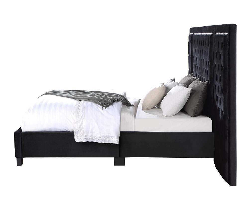 Damazy Queen Bed BD00975Q Black Velvet | Acme | Home Elegance USA