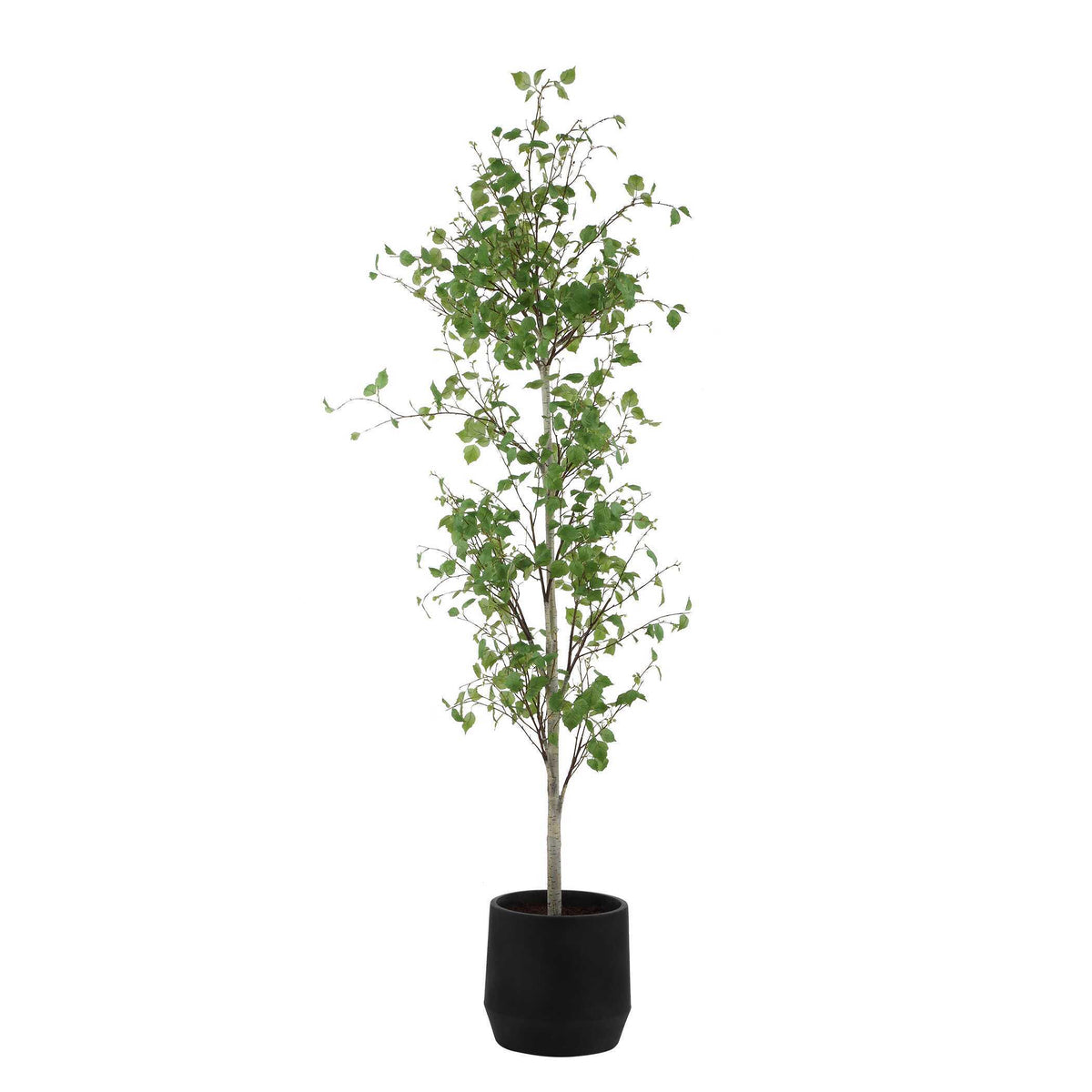 Boreal Potted Birch Tree - Dark Gray / Green by Uttermost - View 4
