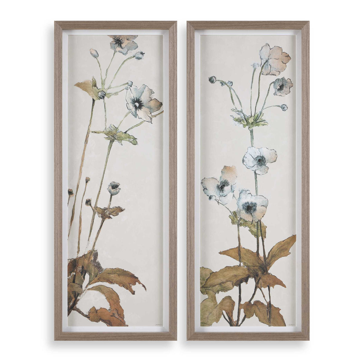 Garden Study Framed Floral Prints (Set of 2) - Green / White by Uttermost - View 1