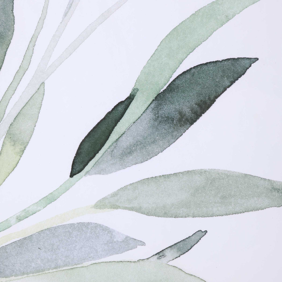 Simple Sage Watercolor Prints (Set of 3) - White / Green by Uttermost - View 5
