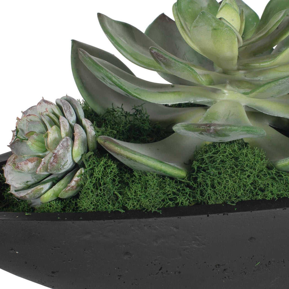Verde Succulent Centerpiece In Bowl - Black / Green by Uttermost - View 8