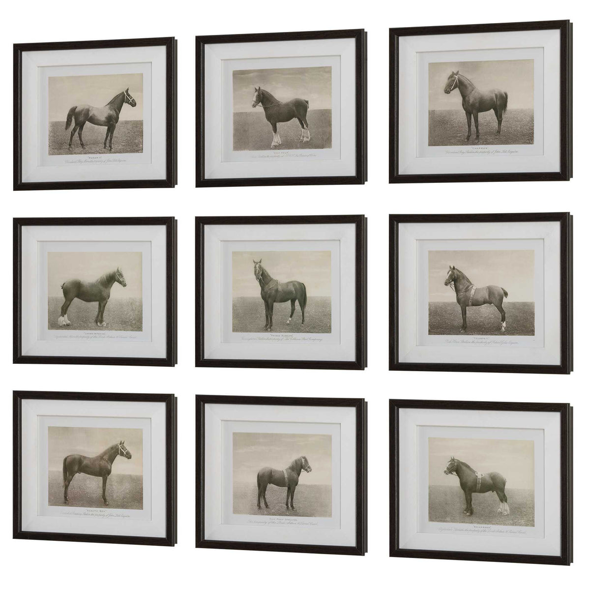 Equine Dynasty Framed Prints (Set of 9) - Gray by Uttermost - View 4