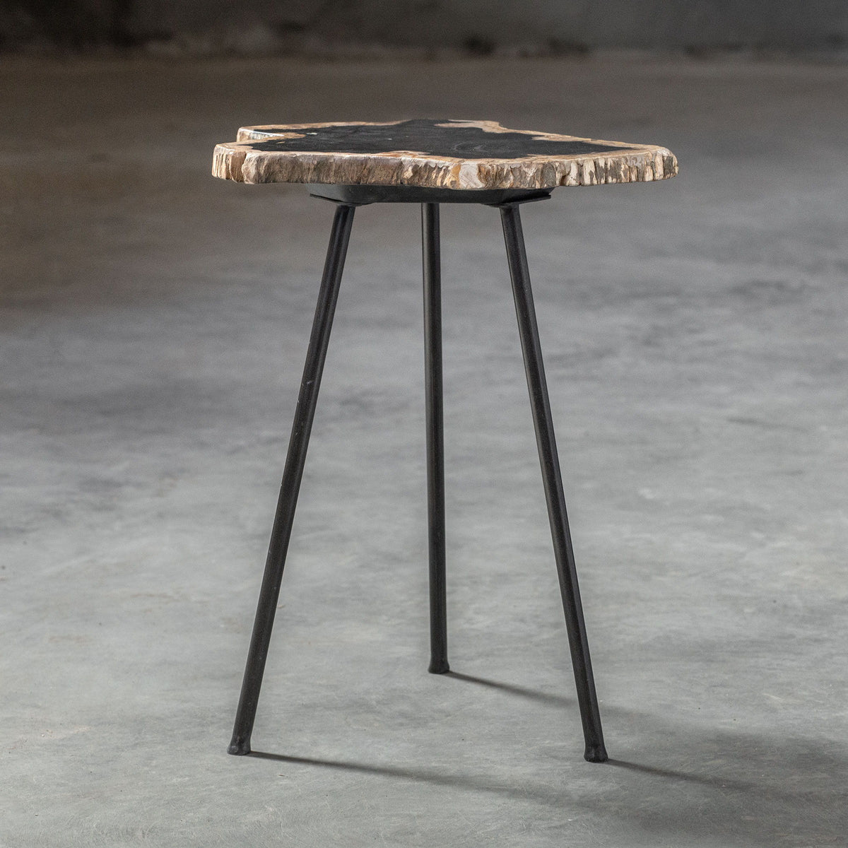 Mircea Petrified Wood Accent Table Black & Light Brown - Black / Light Brown by Uttermost - View 5