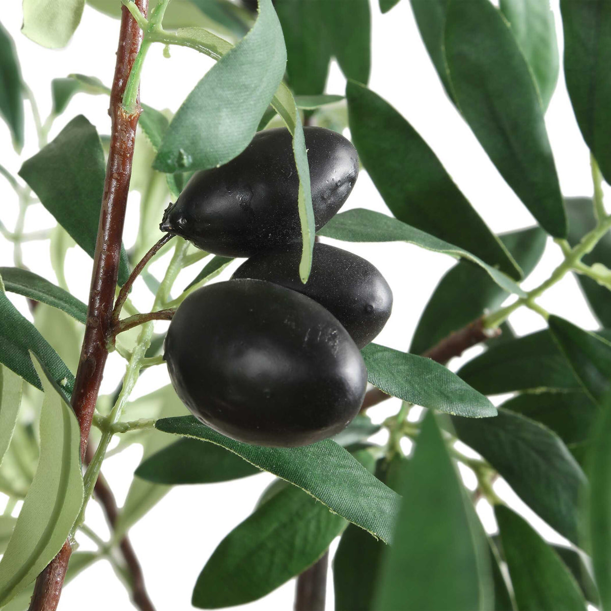 Olea Potted Olive Tree - Green by Uttermost - View 4