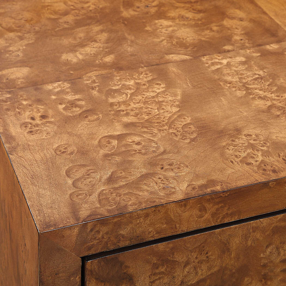 Jethro Burl 2 Door Cabinet Woodtone - Light Brown by Uttermost - View 9