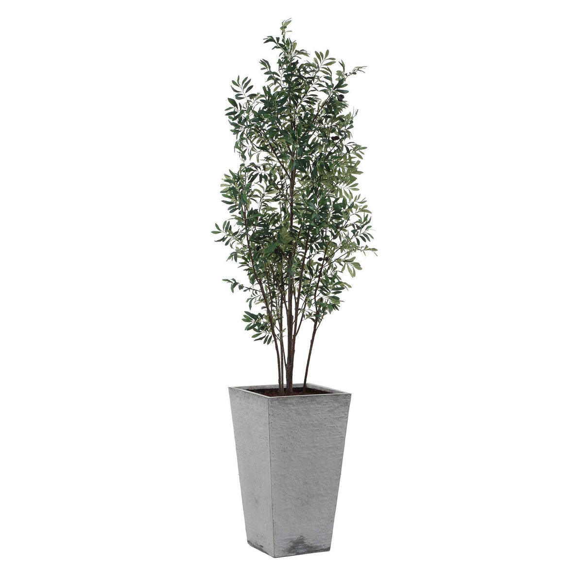 Sonora Olive Tree In Planter - Gray / Green by Uttermost - View 1