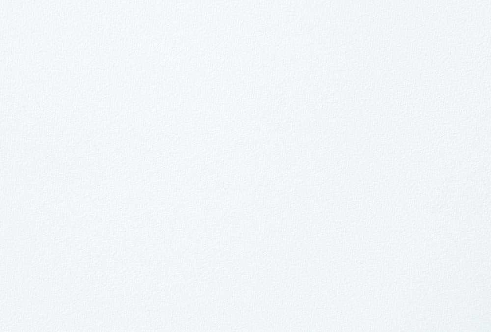 Acme - Fallon Side Chair(Set-2) DN01190 White Velvet & Mirrored Gold Finish