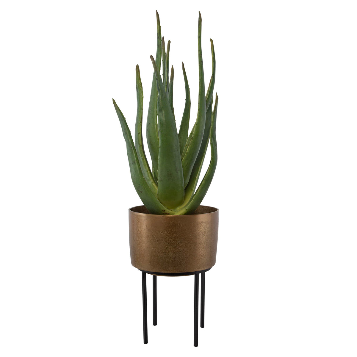 Arabia Aloe Planter - Dark Brown by Uttermost - View 1