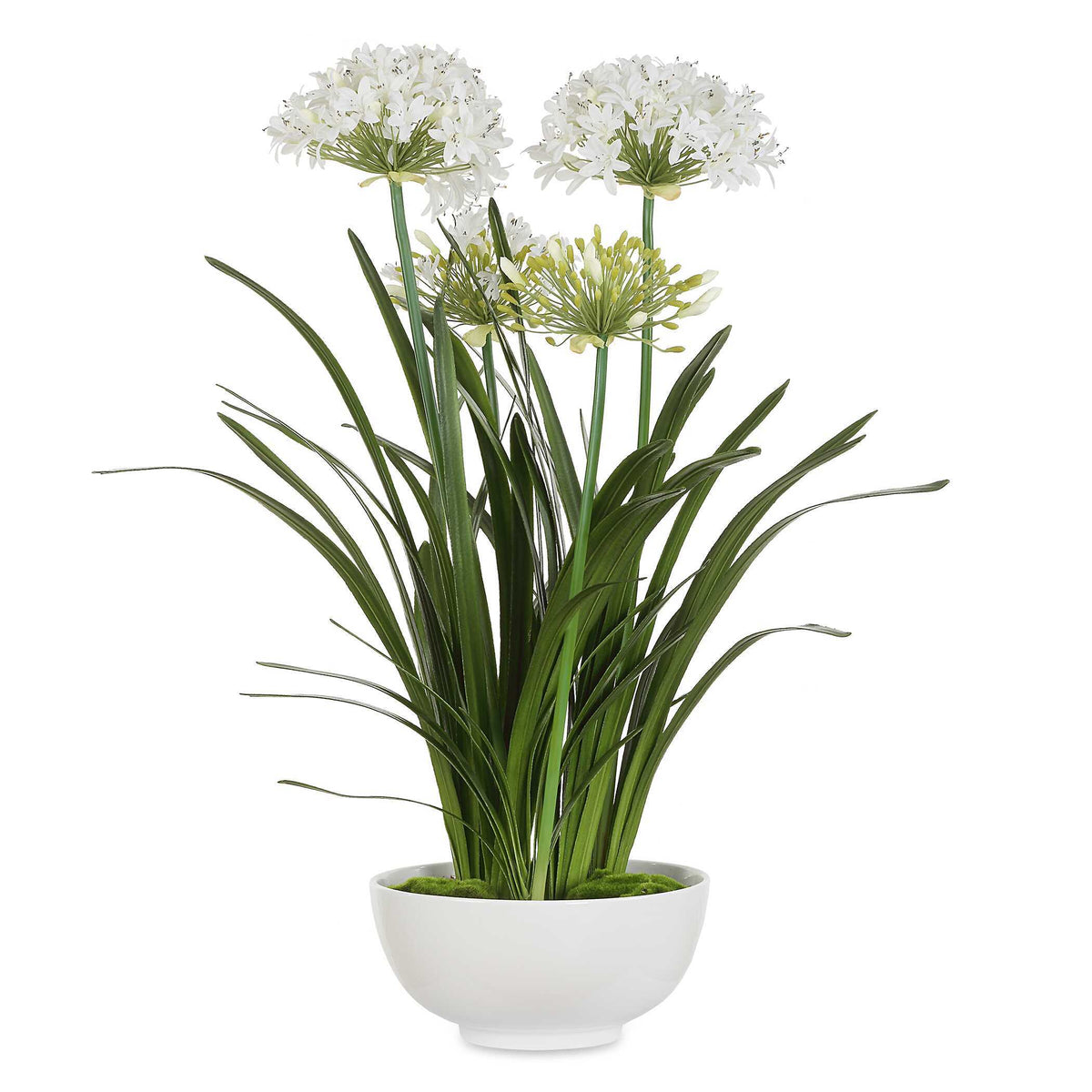 Purity Agapanthus Centerpiece - Green by Uttermost - View 1