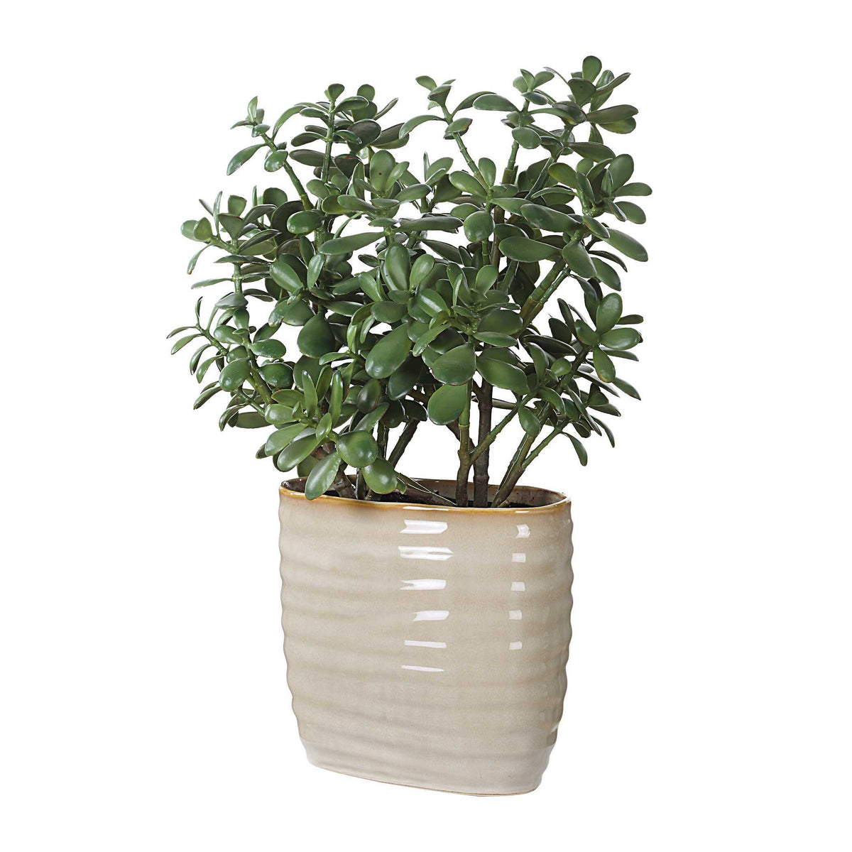 Crassula Jade Accent Plant - Beige by Uttermost - View 3