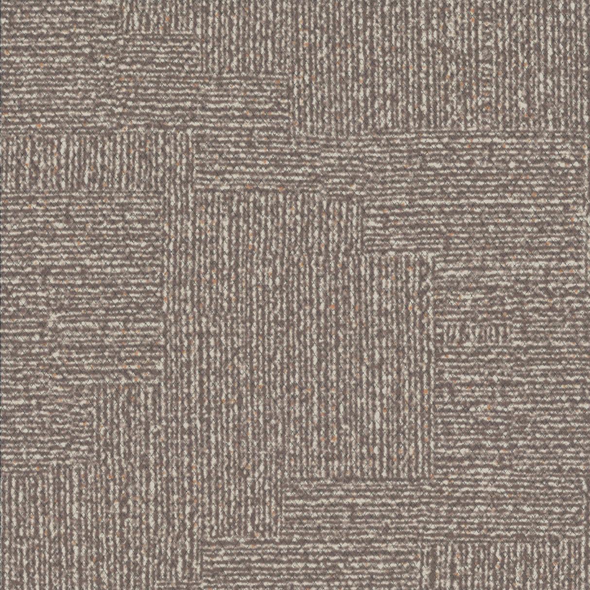 23696813