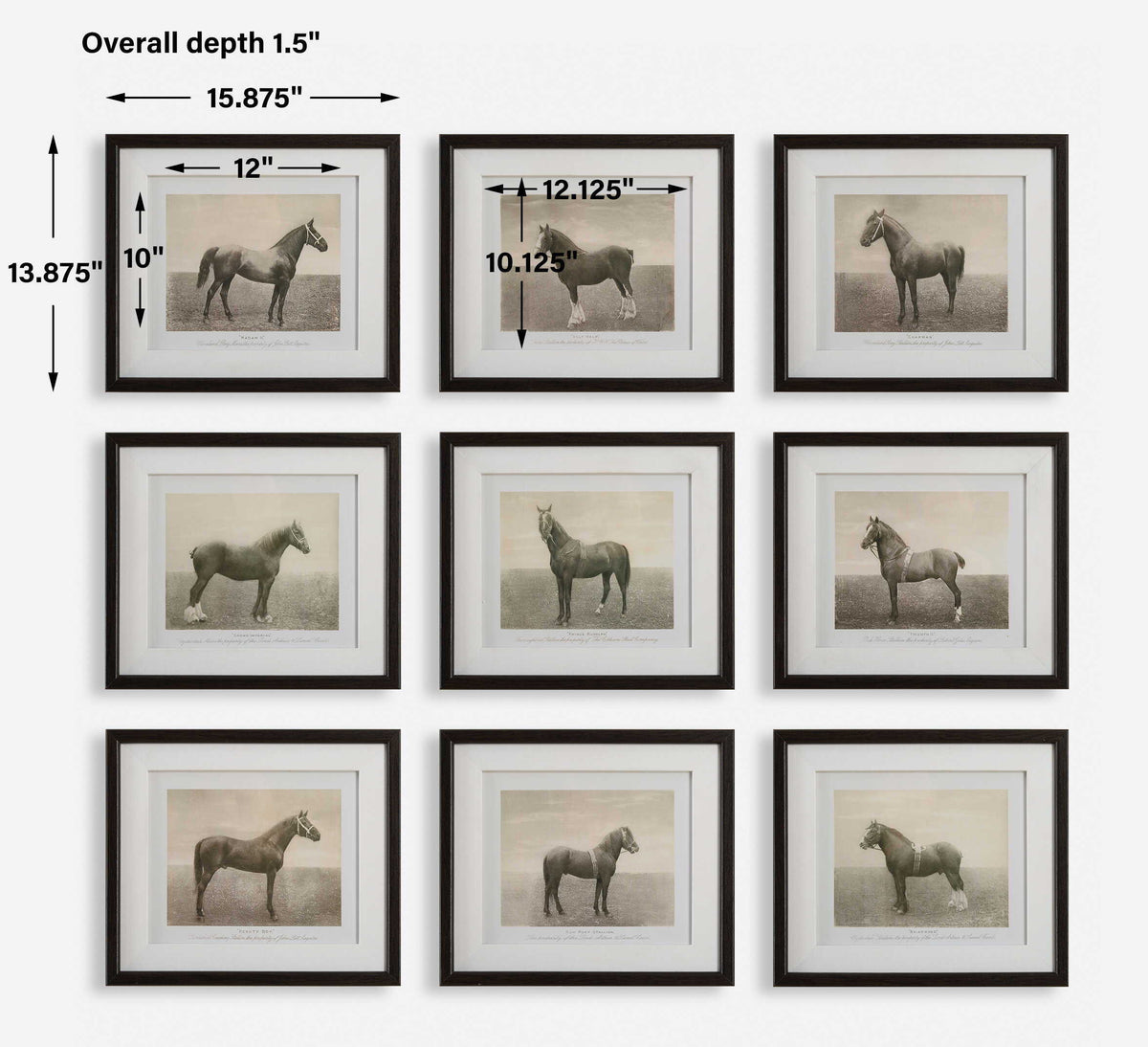 Equine Dynasty Framed Prints (Set of 9) - Gray by Uttermost - View 7