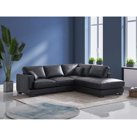 Acme - Geralyn Sectional Sofa W/2 Pillows LV02397 Black Leather