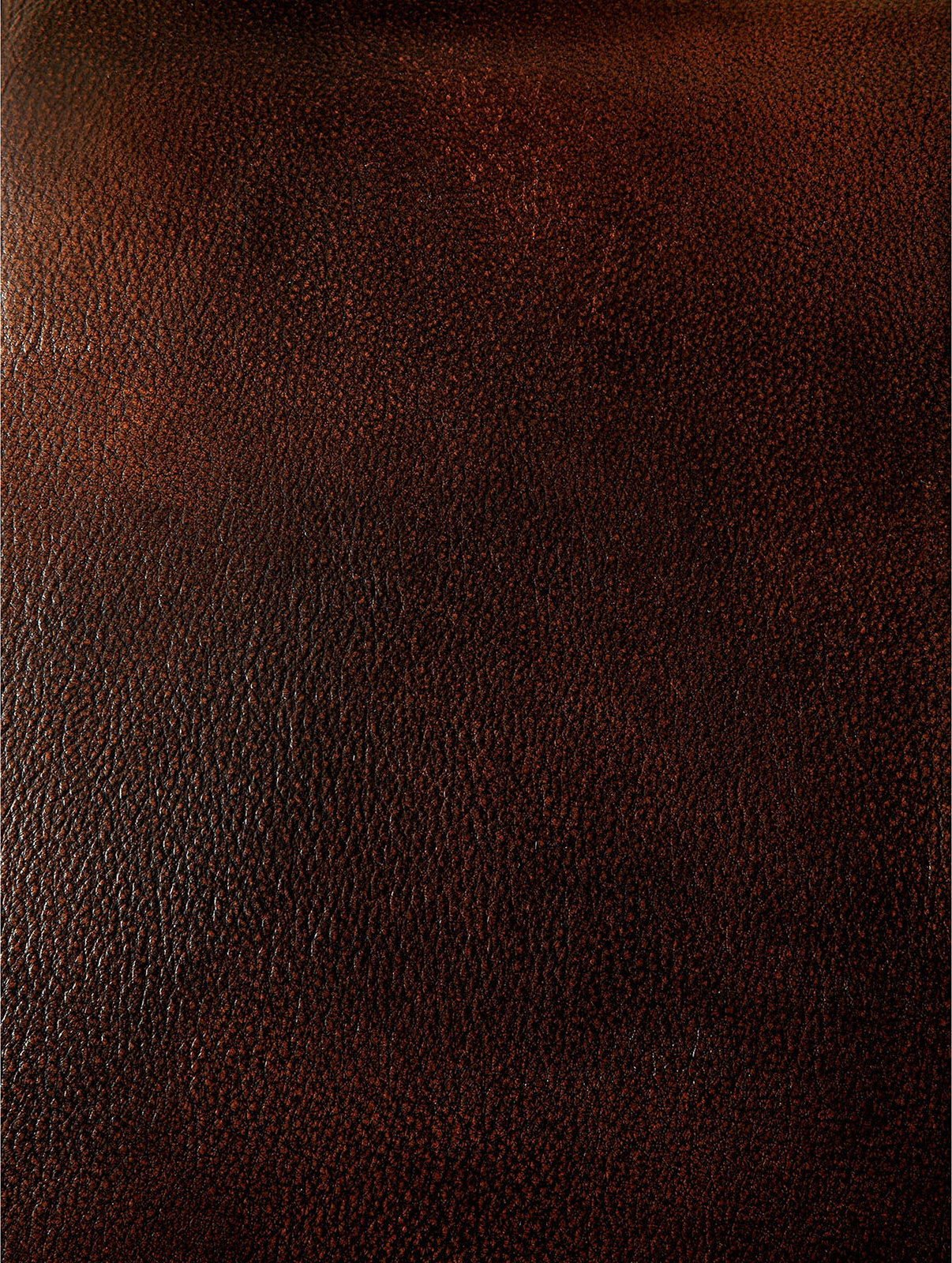Turton - Sofa - Brown - Home Elegance USA