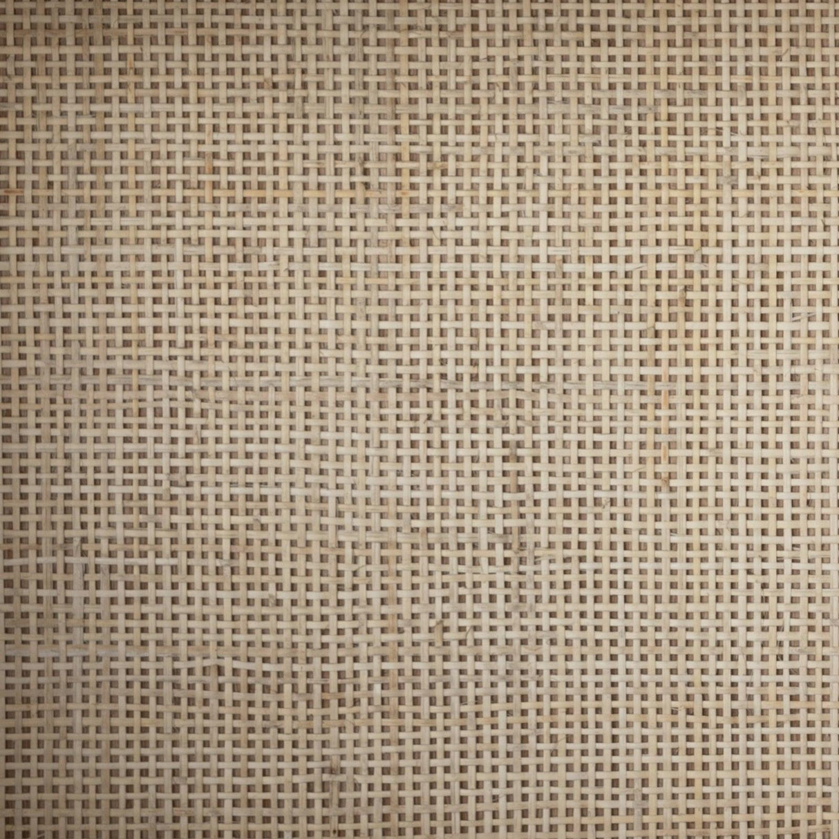 Four Hands Higgs Bookcase