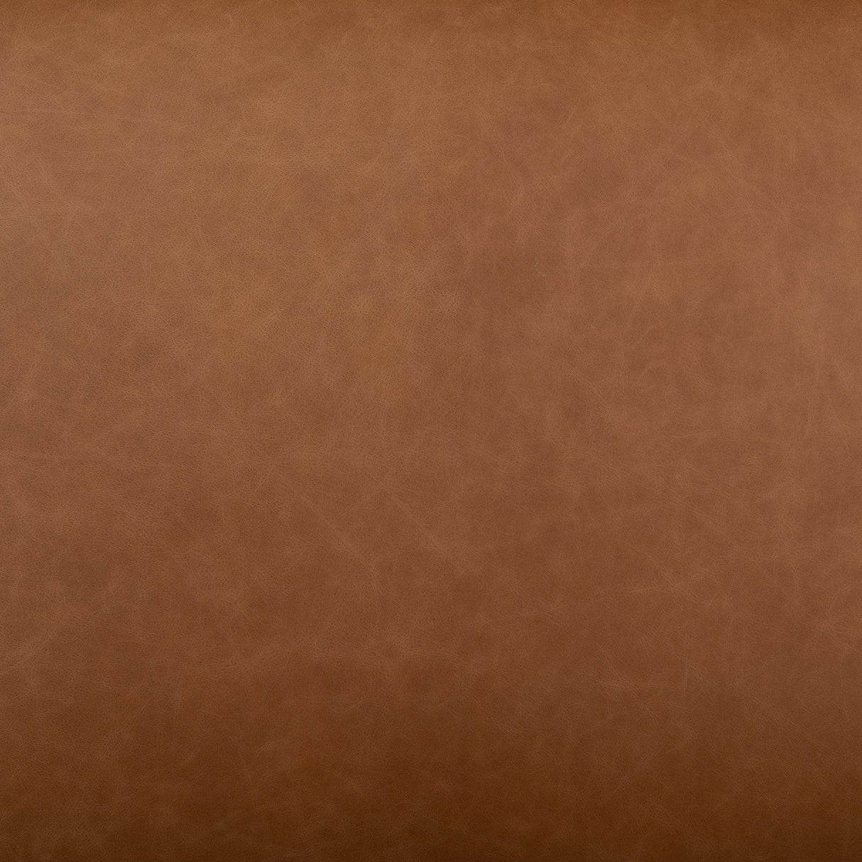 Four Hands Hawkins Dining Bench