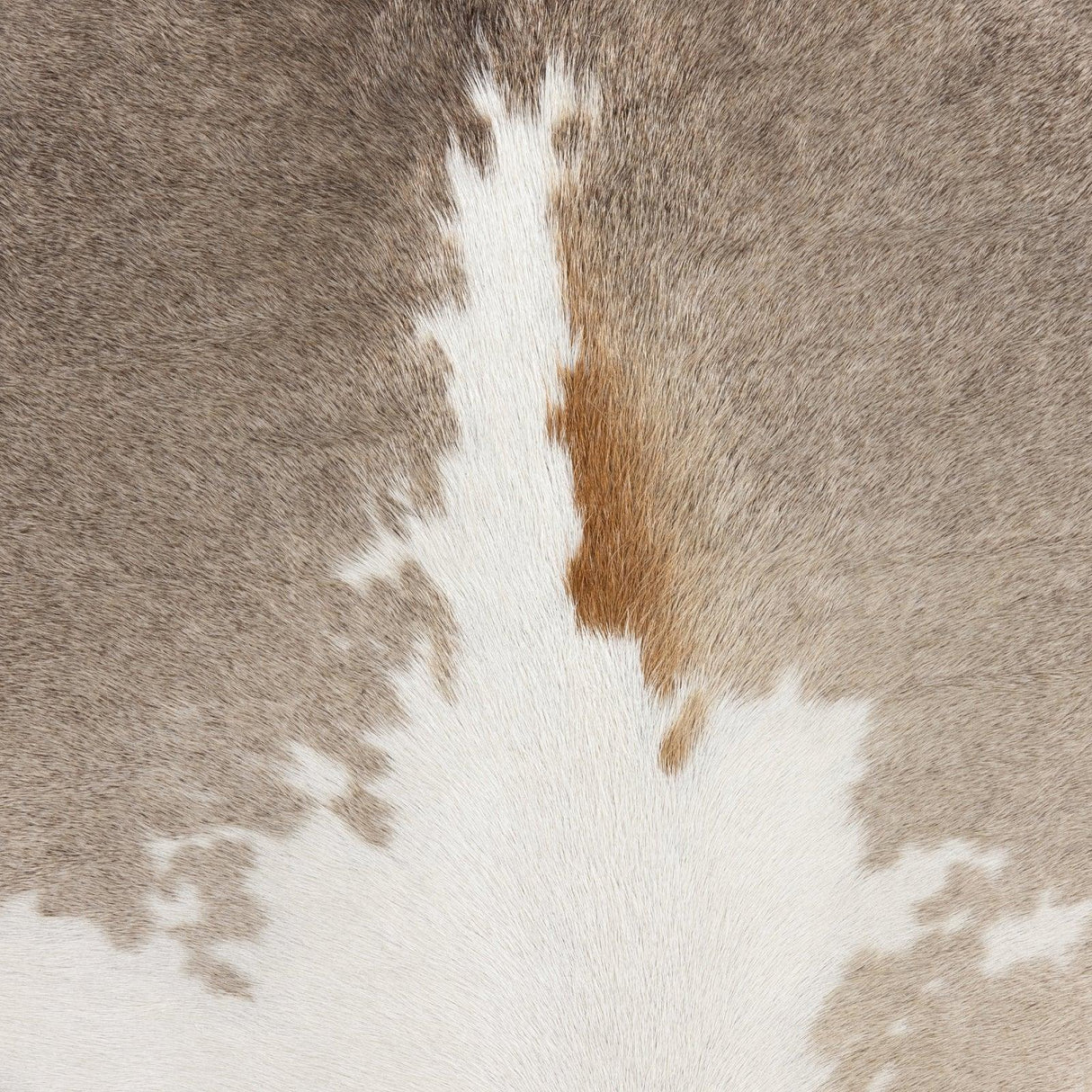 Four Hands Nocona Counter Stool