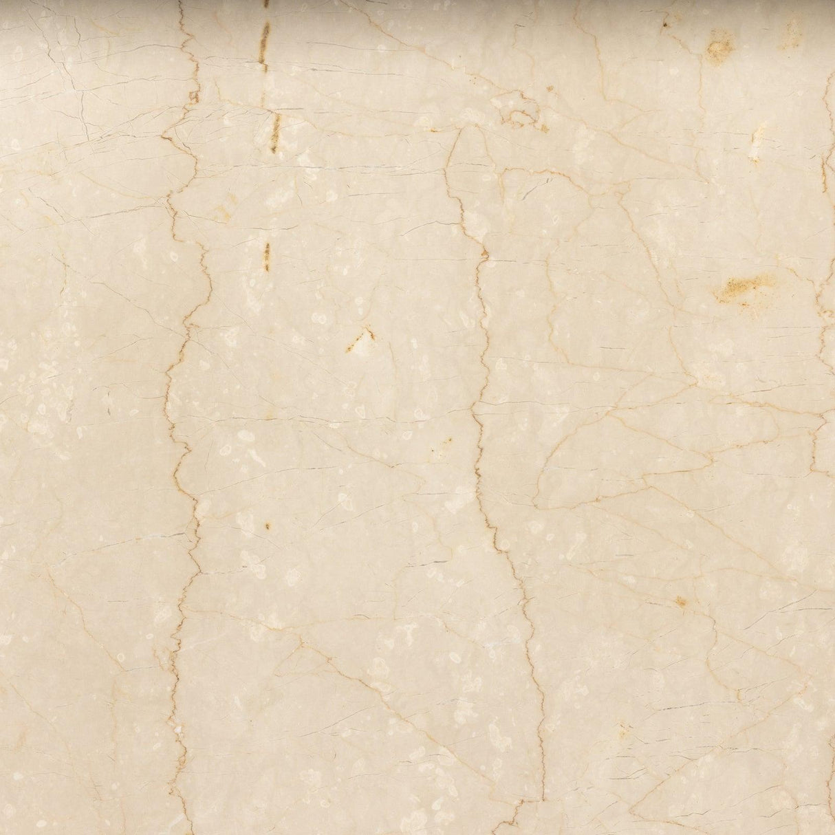 Four Hands Arum Dining Table