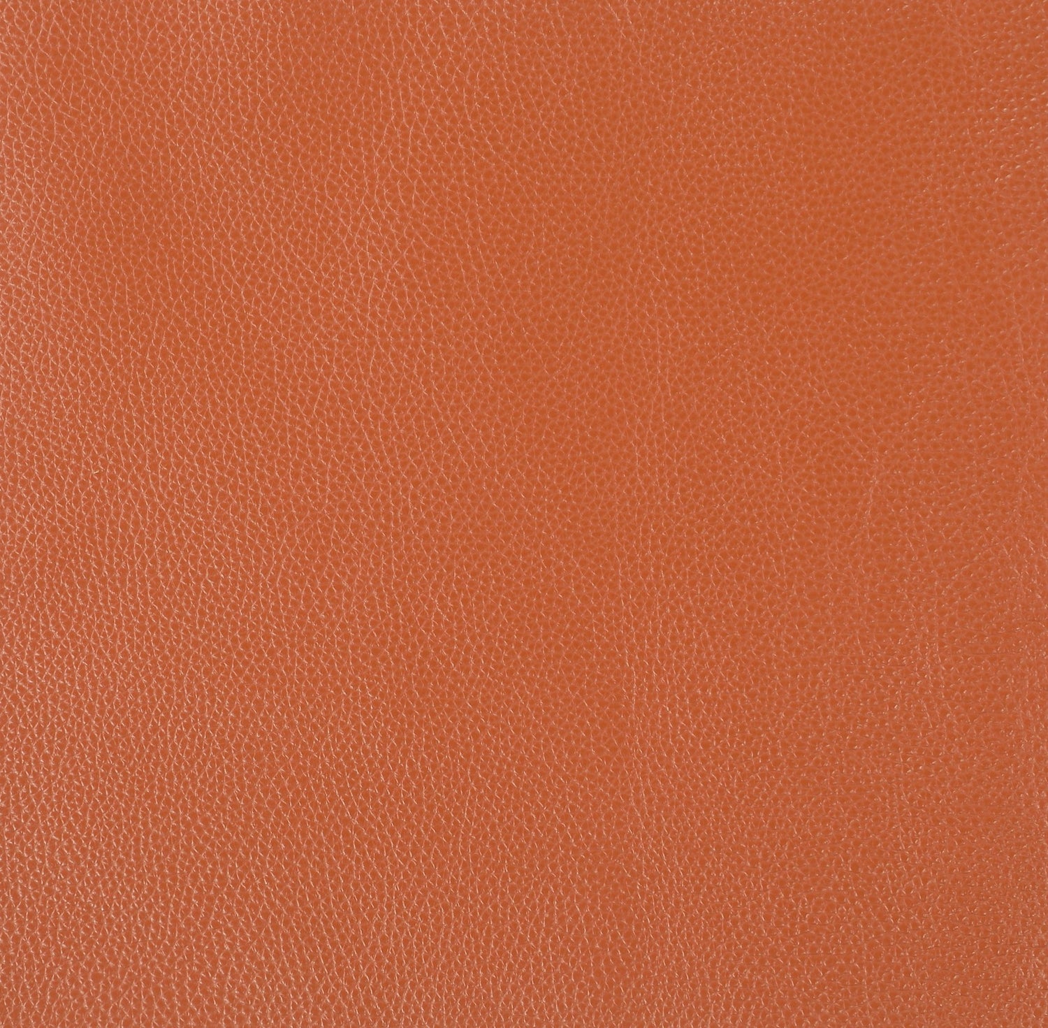 Top Grain Italian Leather Chair - Home Elegance USA