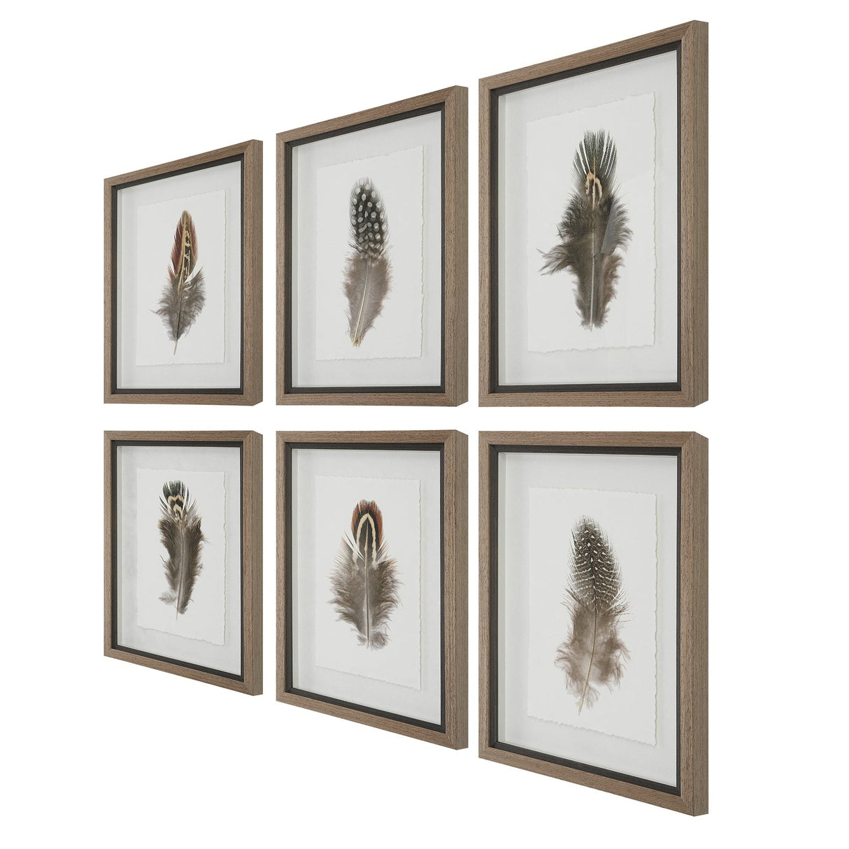 Birds Of A Feather Framed Prints - Set Of 6 | Uttermost | Home Elegance USA