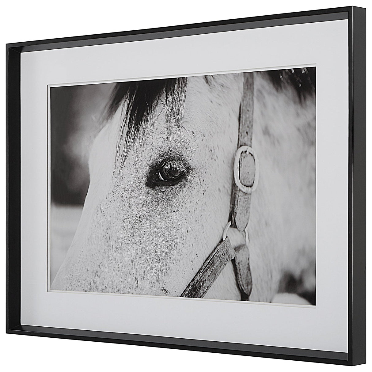Uttermost Eye Of The Beholder Framed Print - Home Elegance USA