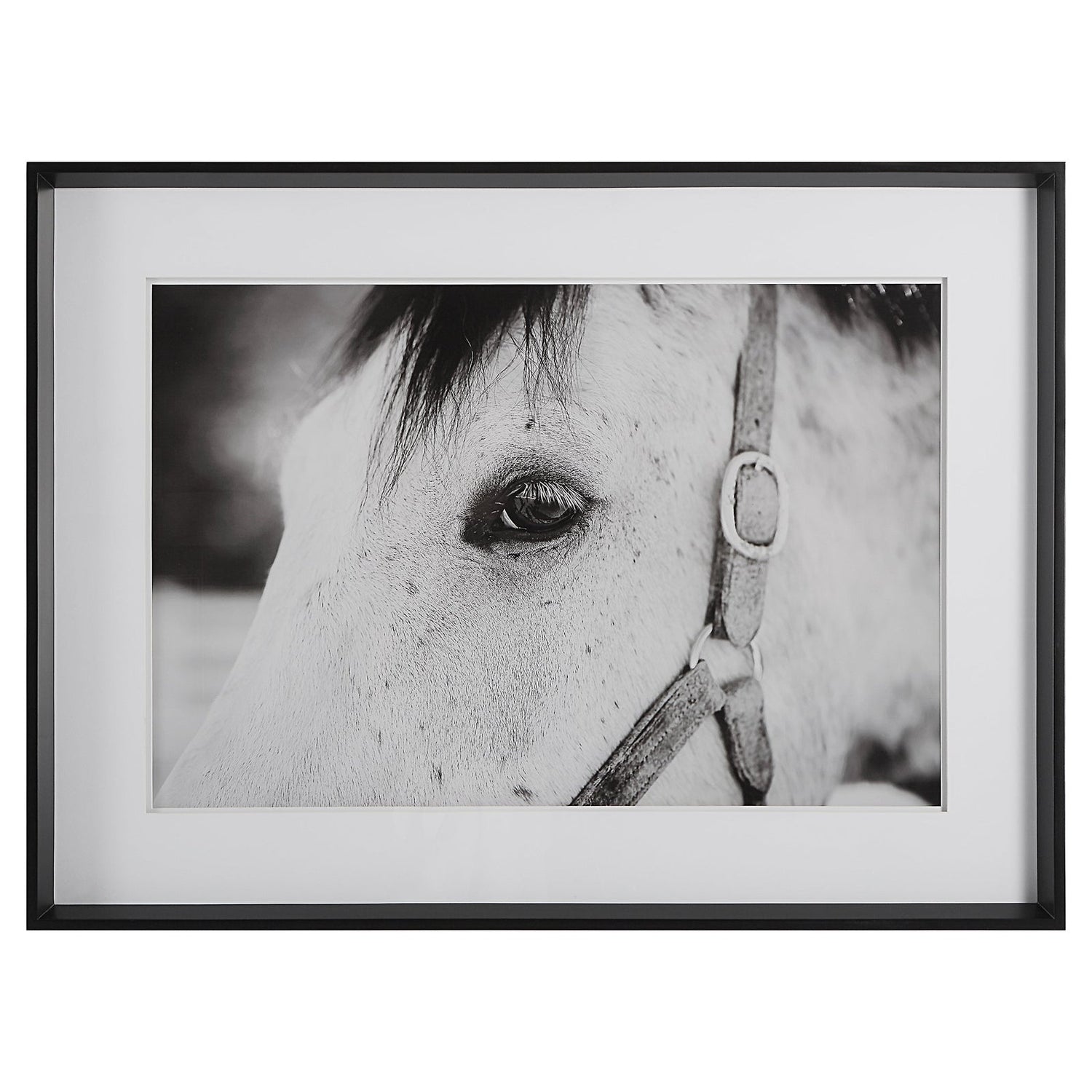 Uttermost Eye Of The Beholder Framed Print - Home Elegance USA