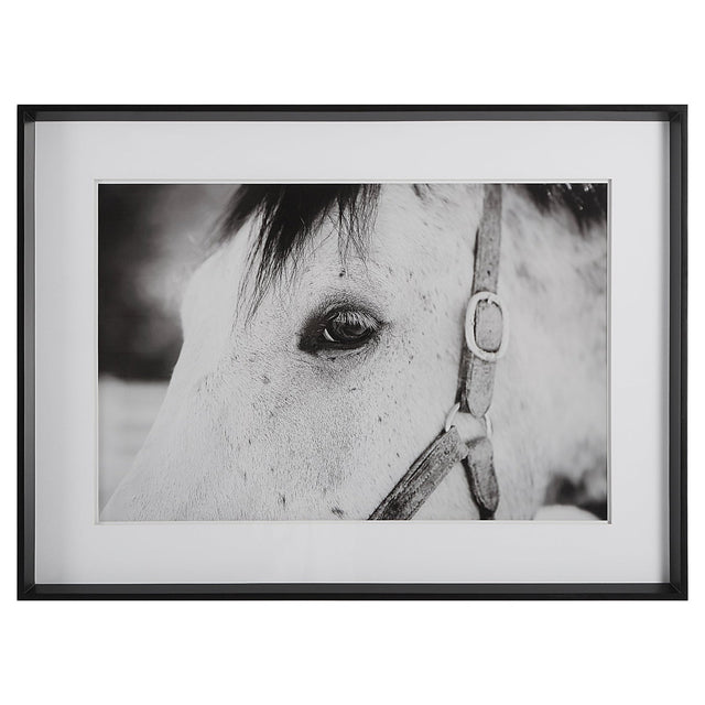 Uttermost Eye Of The Beholder Framed Print - Home Elegance USA