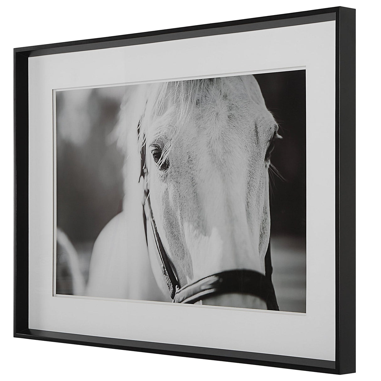 Uttermost Eyes On The Prize Framed Print - Home Elegance USA