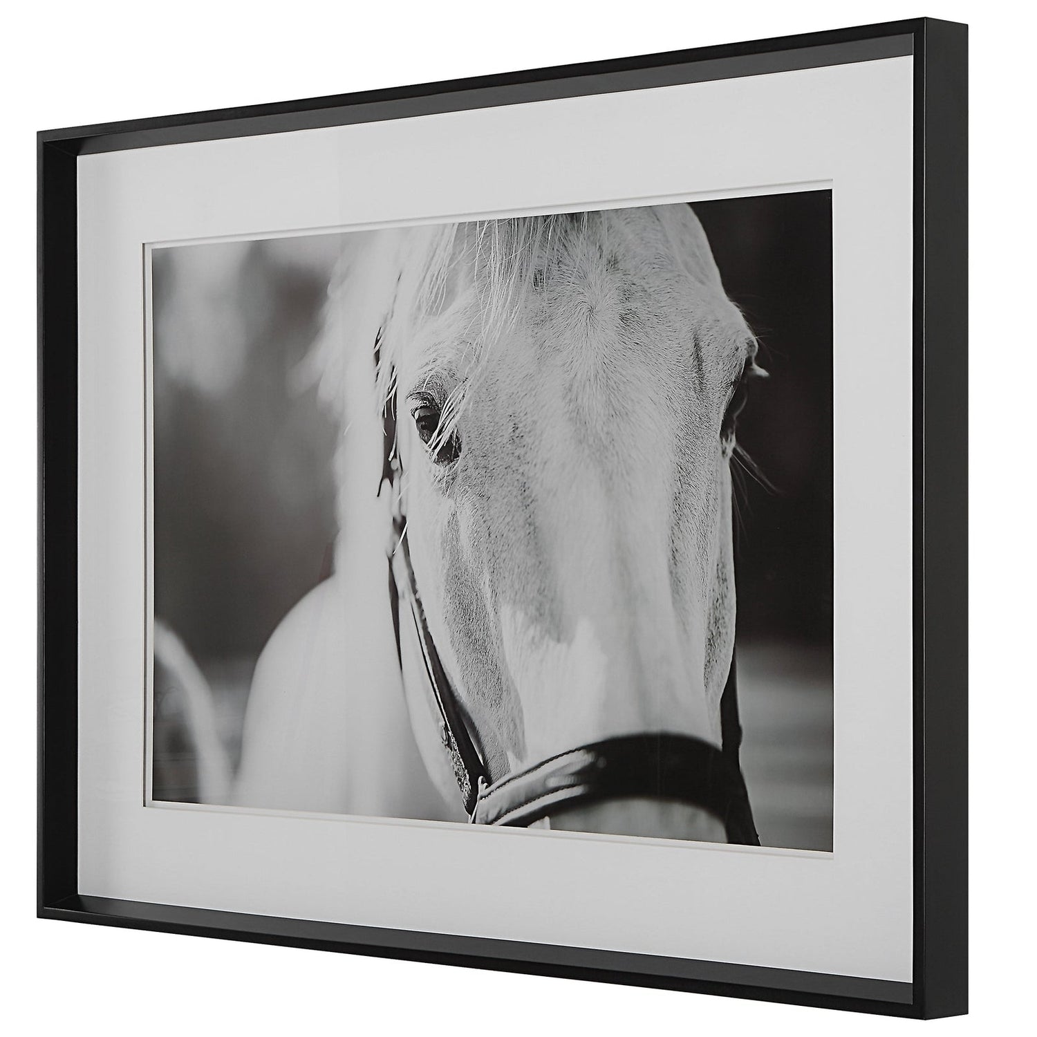 Uttermost Eyes On The Prize Framed Print - Home Elegance USA