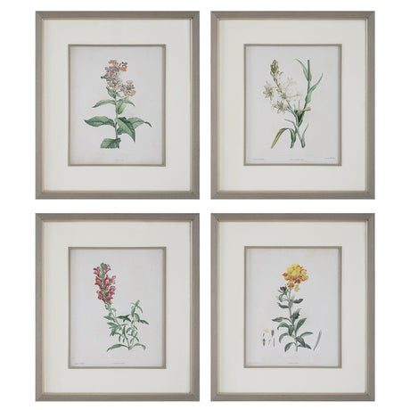 Uttermost Heirloom Blooms Study Framed Prints - Set Of 4 - Home Elegance USA