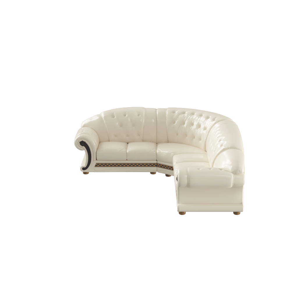 Apolo Traditional Sectional | ESF | Home Elegance USA