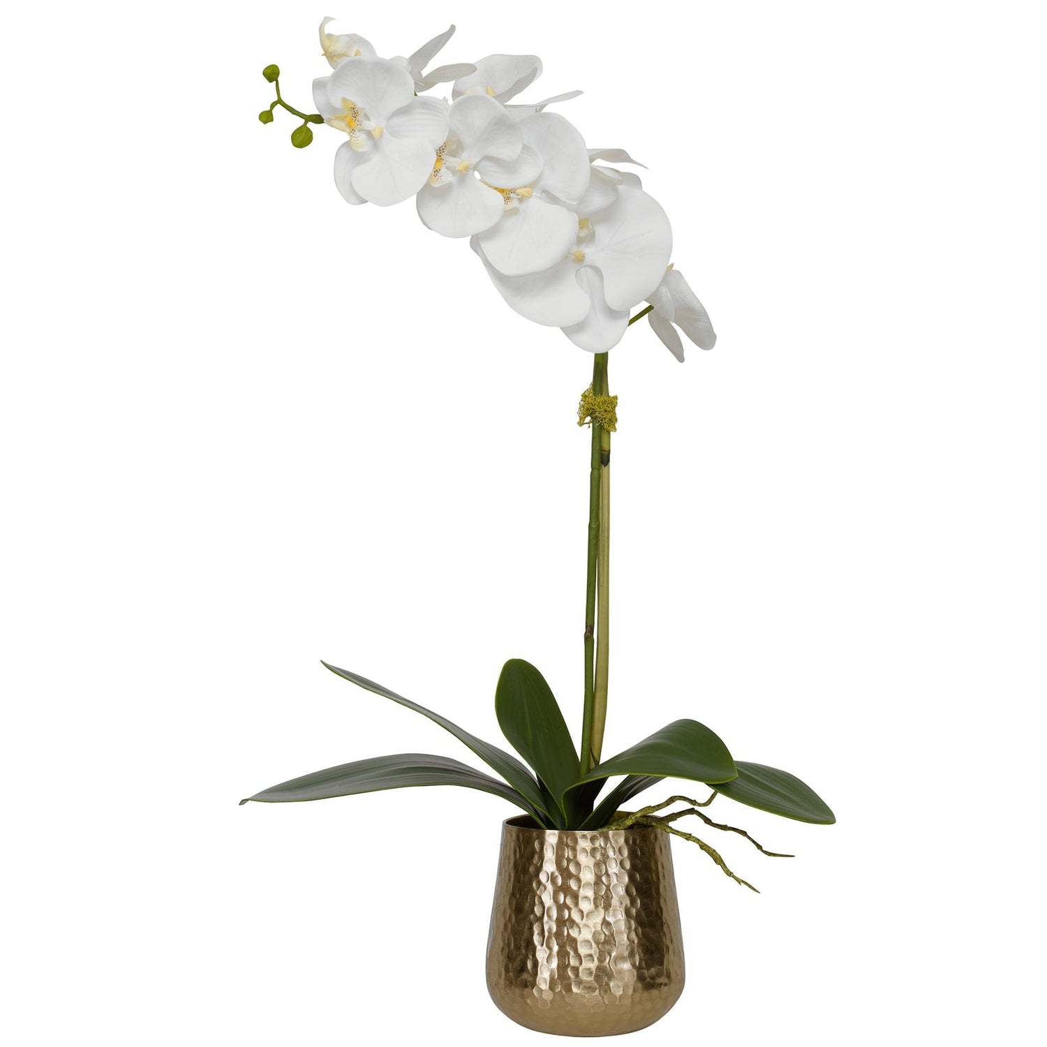 Cami Orchid With Brass Pot | Uttermost | Home Elegance USA