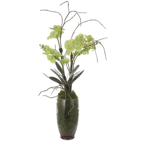 Uttermost Valdive Orchid - Home Elegance USA