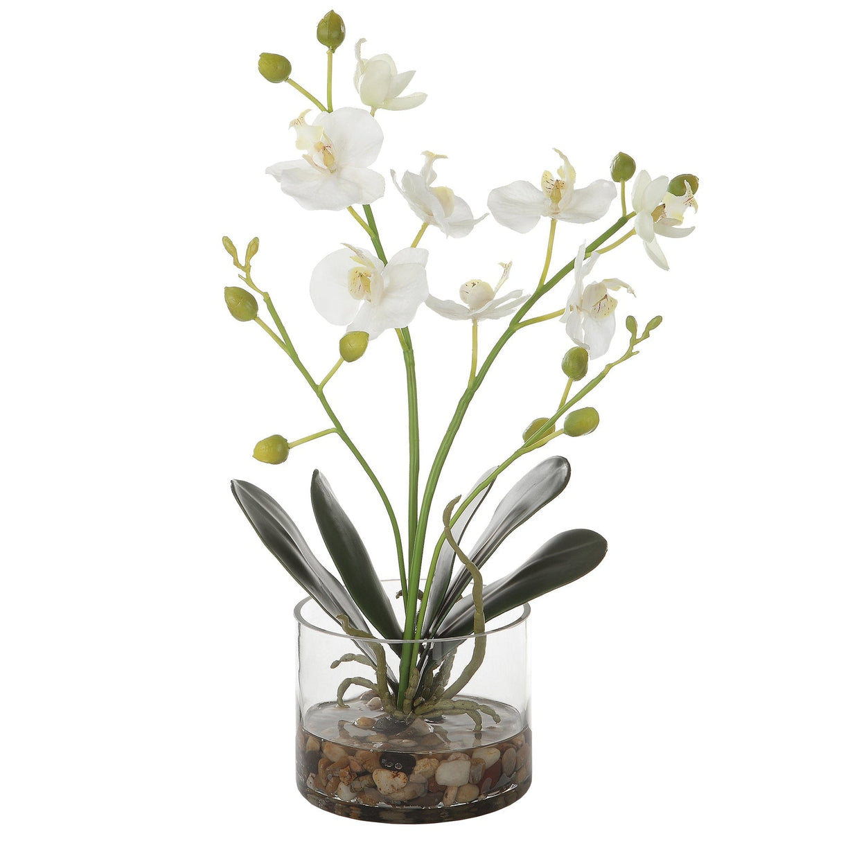 Uttermost Glory Orchid - Home Elegance USA