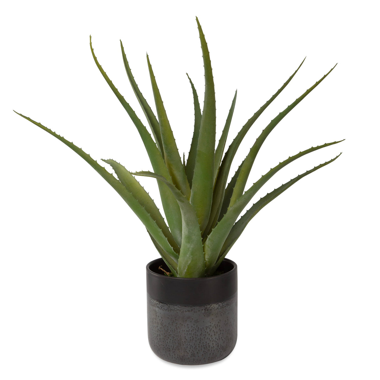 Uttermost Tucson Aloe Planter - Home Elegance USA