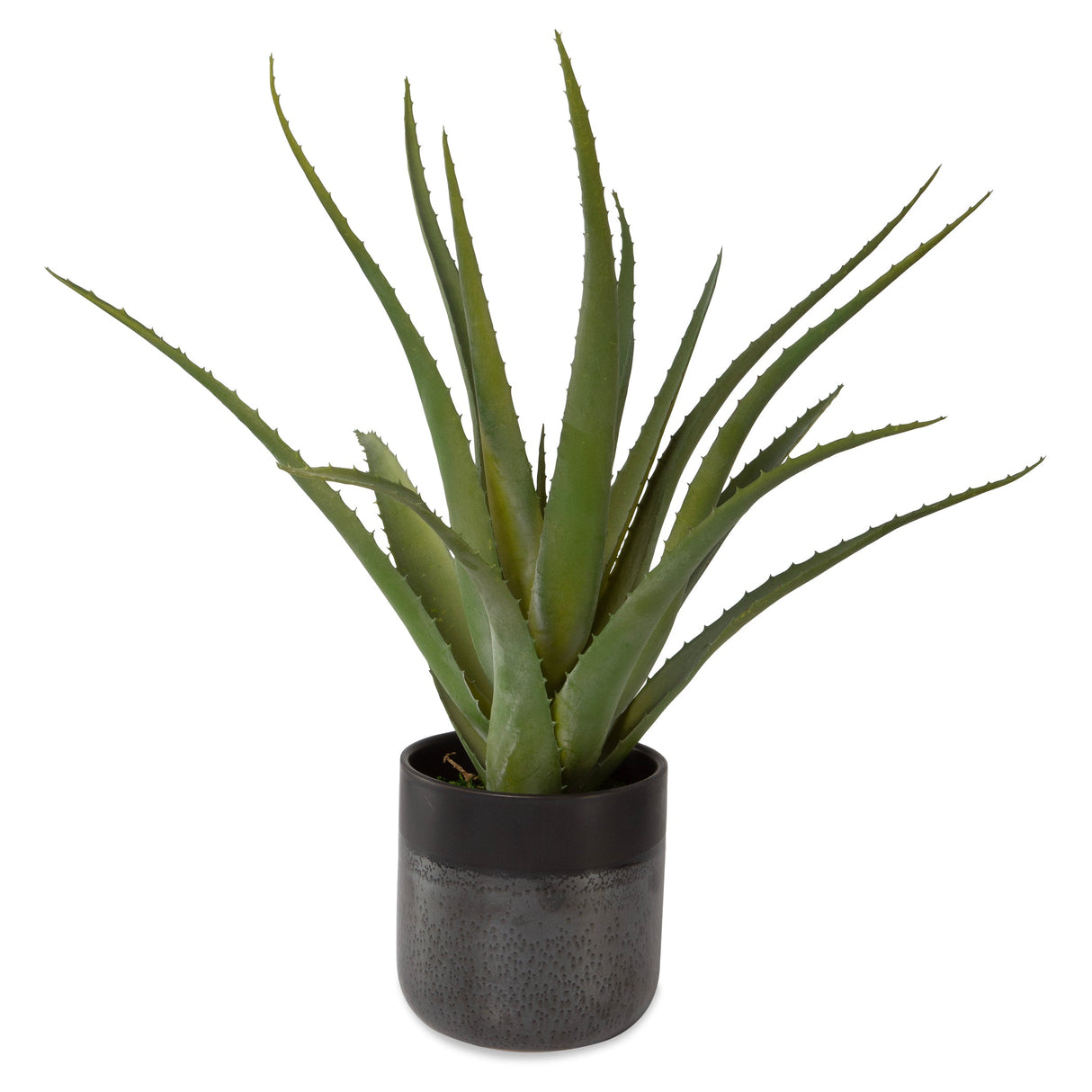 Uttermost Tucson Aloe Planter - Home Elegance USA