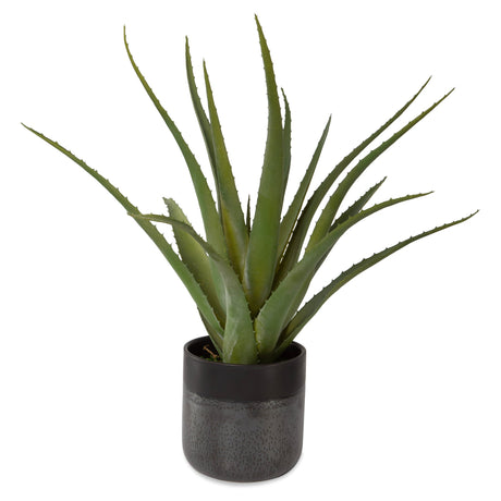 Uttermost Tucson Aloe Planter - Home Elegance USA