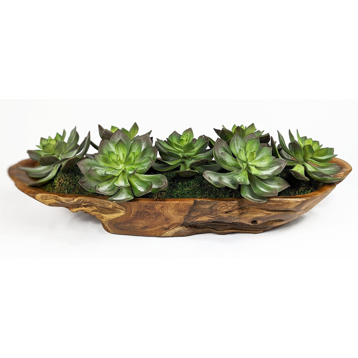 Uttermost Yuma Succulent Centerpiece - Home Elegance USA
