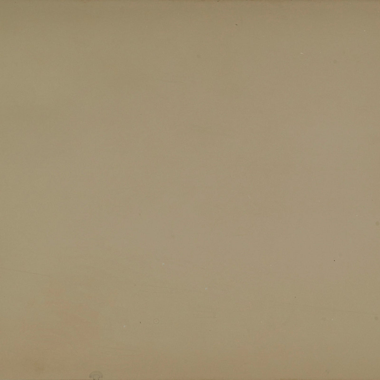 Beauty - Full Chest | Caracole | Home Elegance USA