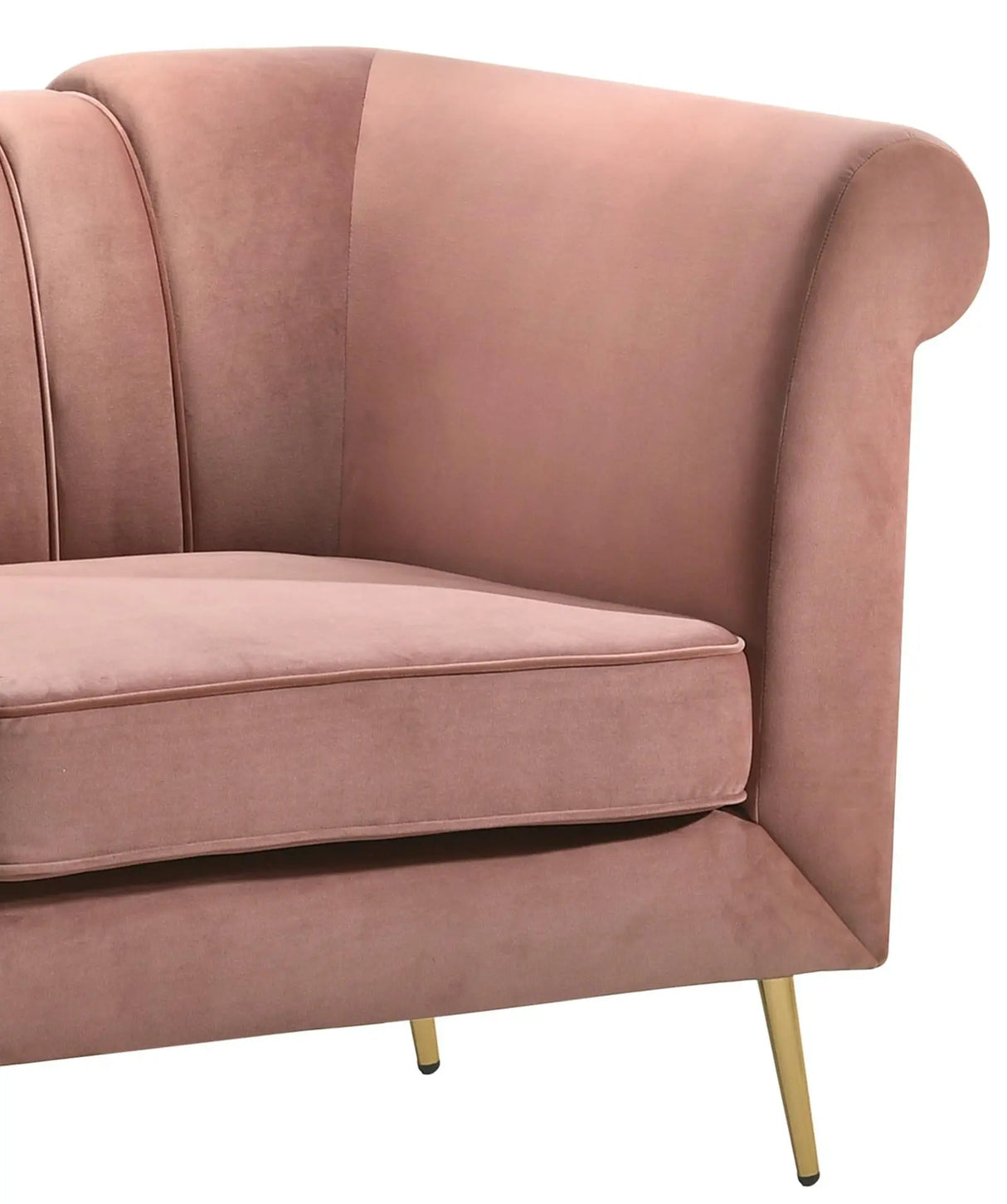 Lexington Transitional Style Coral Chair with Gold Finish - Home Elegance USA