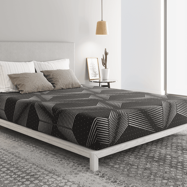 Highlight 2.0 Foam - Home Elegance USA