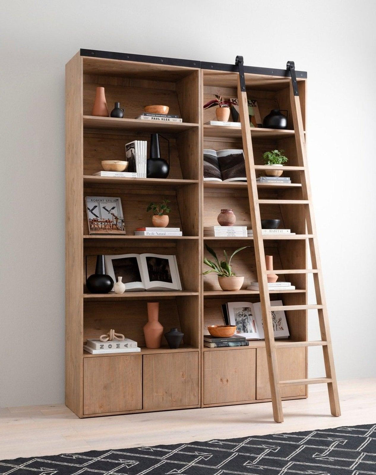 Four Hands Bane Double Bookshelf With Ladder