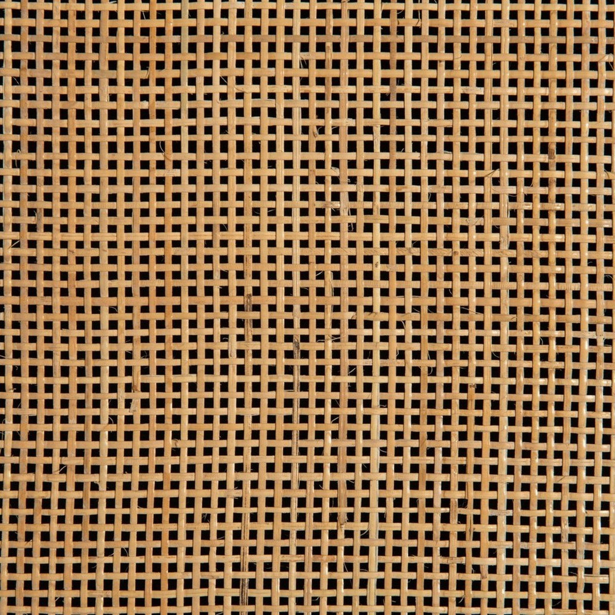 Four Hands Caprice Large Bookshelf