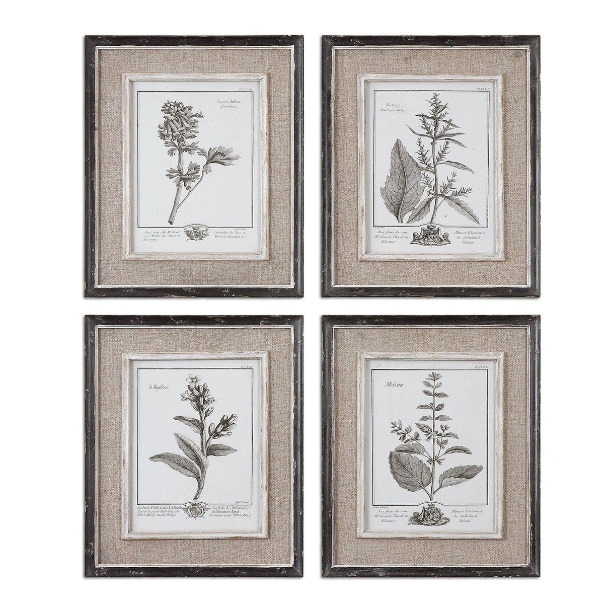 Casual Grey Study Framed Art - Set Of 4 | Uttermost | Home Elegance USA