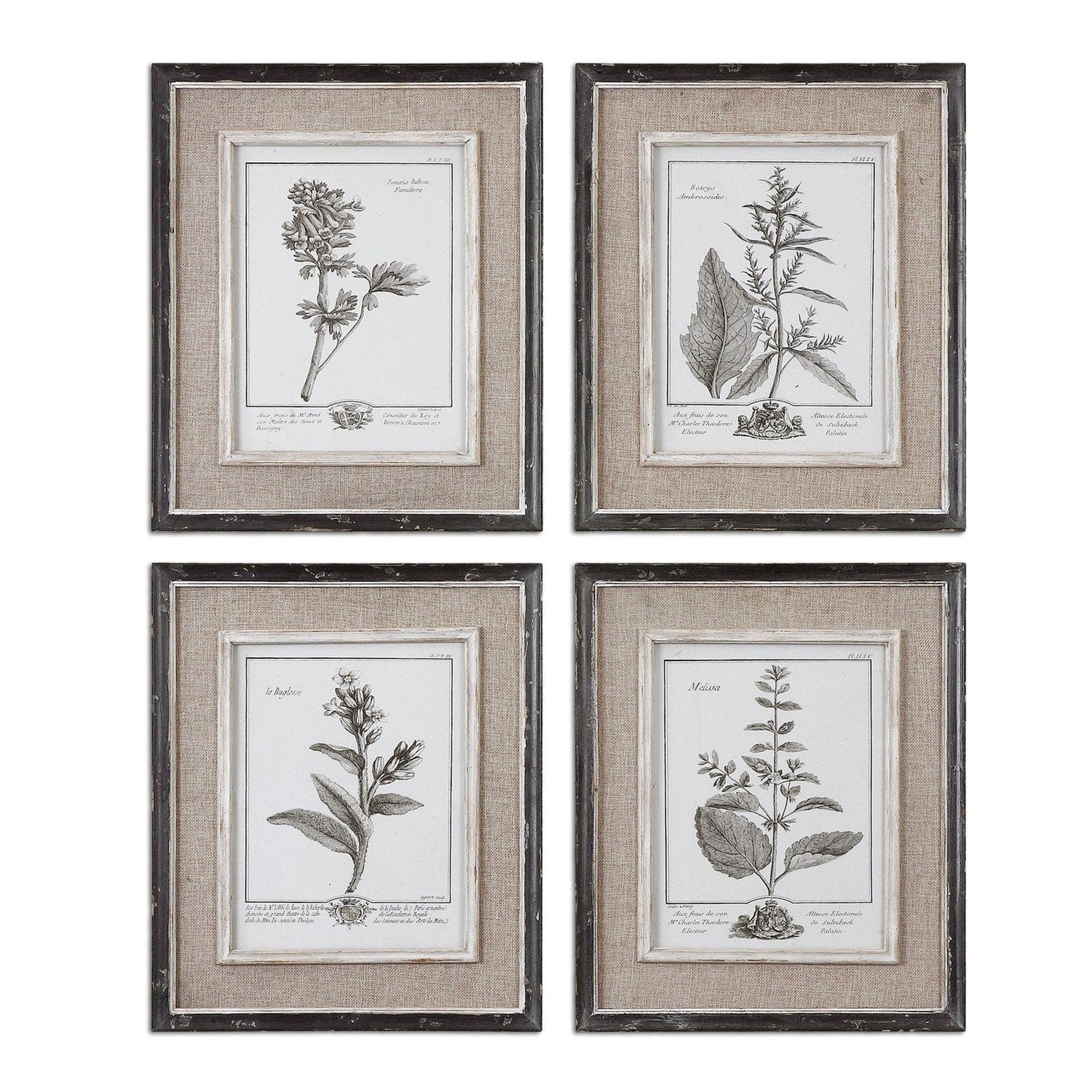 Casual Grey Study Framed Art - Set Of 4 | Uttermost | Home Elegance USA