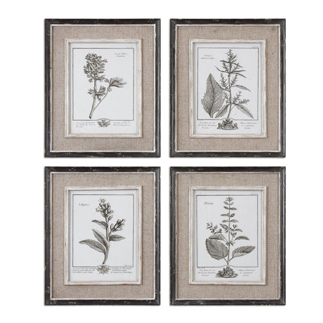 Casual Grey Study Framed Art - Set Of 4 | Uttermost | Home Elegance USA