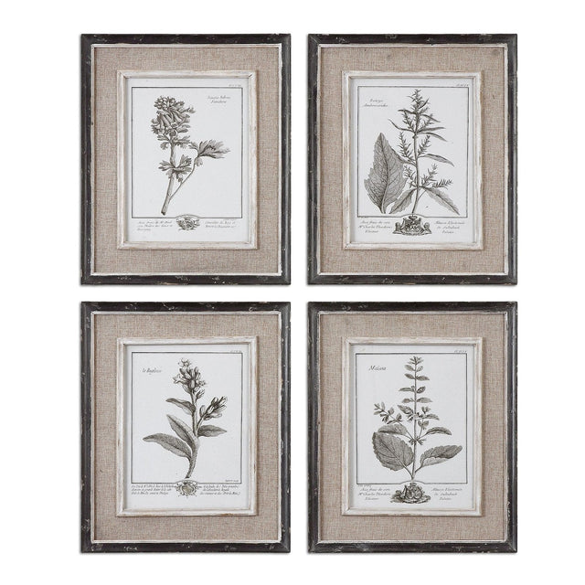 Casual Grey Study Framed Art - Set Of 4 | Uttermost | Home Elegance USA