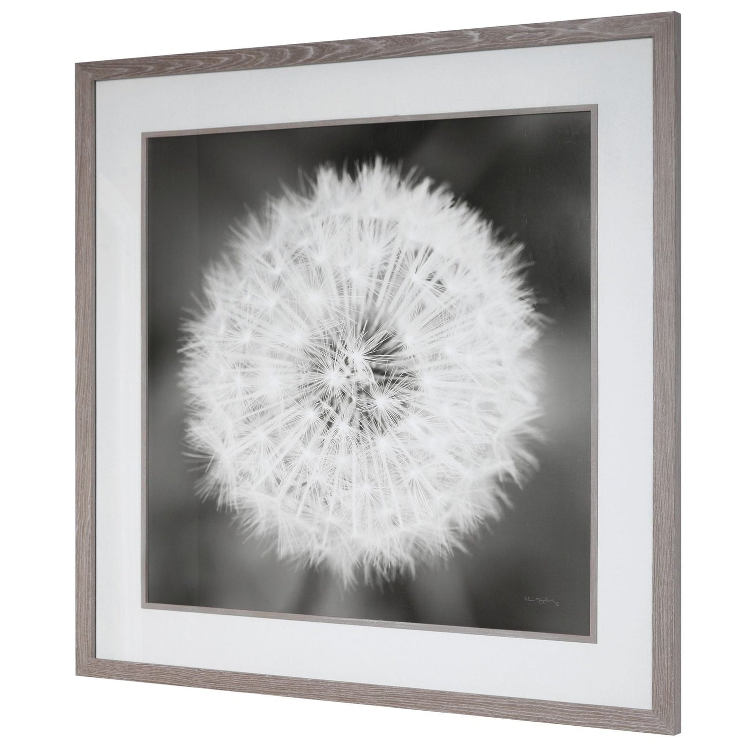 Dandelion Seedhead Framed Print | Uttermost | Home Elegance USA