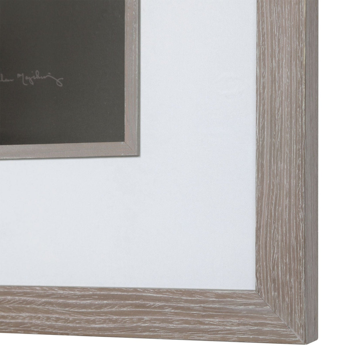 Dandelion Seedhead Framed Print | Uttermost | Home Elegance USA