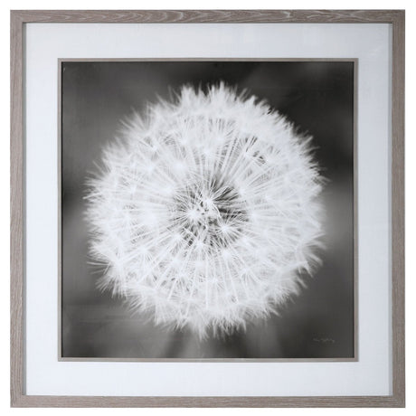 Dandelion Seedhead Framed Print | Uttermost | Home Elegance USA